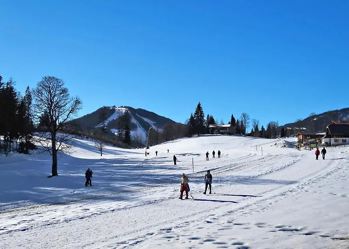 Berghaus Weitblick By Interhome Ferienhaus Ramsau am Dachstein